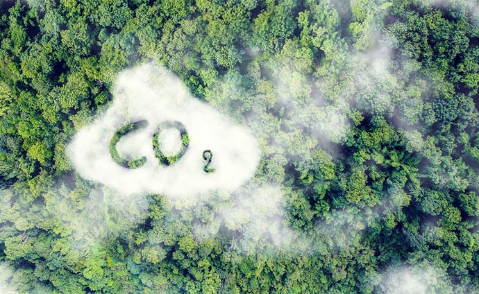 HVO-Kraftstoff: Die Lösung zur Reduzierung des CO₂-Ausstoßes im Verkehrssektor